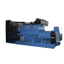Mtu Diesel Generator Set (BMX1000)